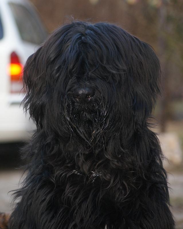 2011.02.27.Ati-1.JPG