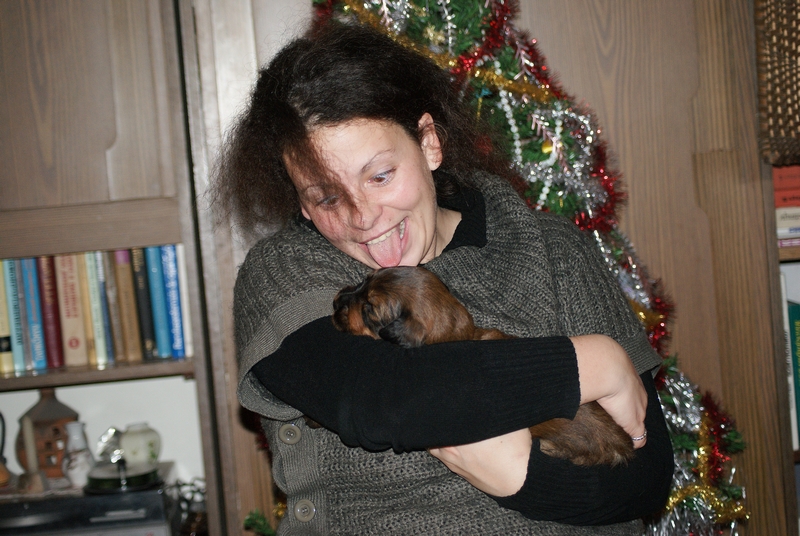 2011.01.04.C-alom_voros_szuka.jpg