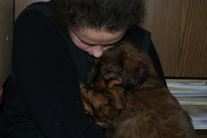 2011.01.24.C-alom_voros_szuka-8.jpg
