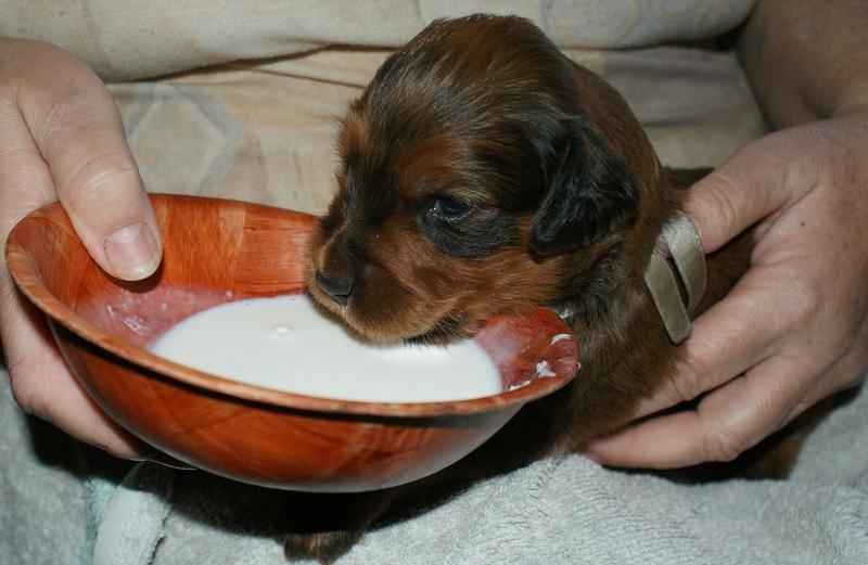 2012.02.26.ezust_kan-026.jpg