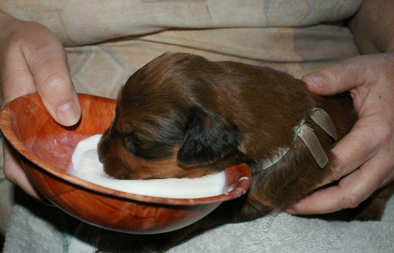 2012.02.26.ezust_kan-027.jpg