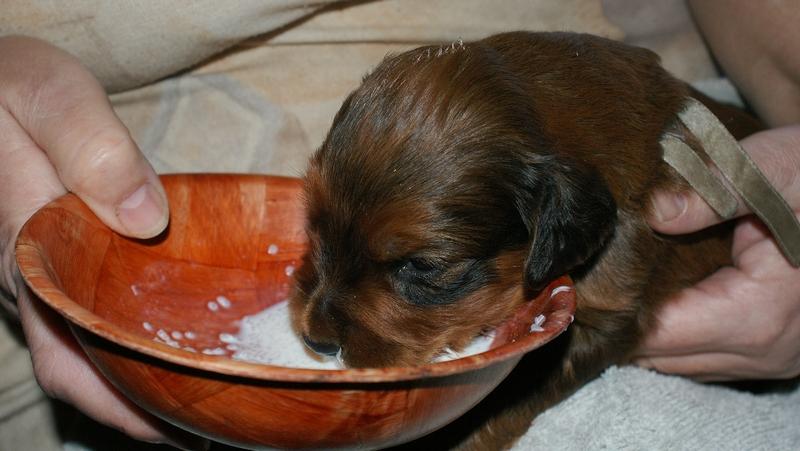 2012.02.26.ezust_kan-030.jpg