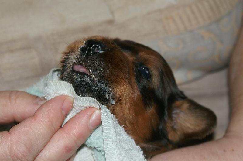 2012.02.26.ezust_kan-032.jpg