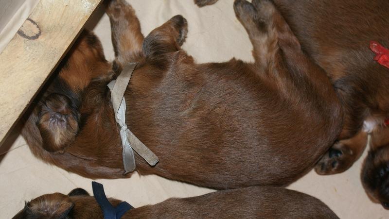 2012.02.26.ezust_kan-035.jpg