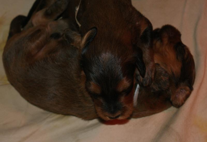 2012.02.26.ezust_kan-036.jpg