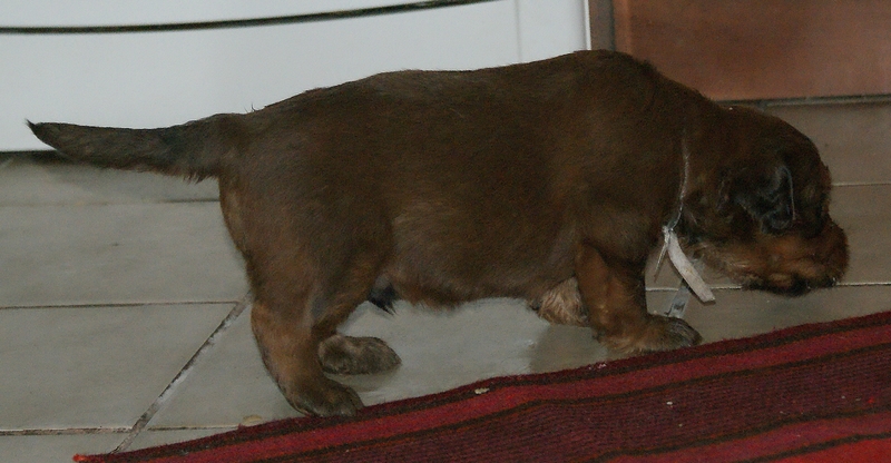 2012.03.03._D-alom-125.jpg