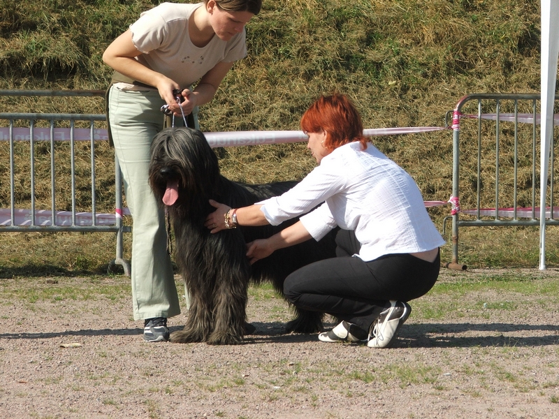 N.E.2007.Autun_047a.jpg