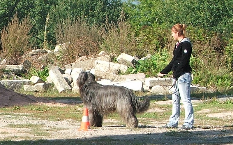 N.E.2007.Autun_086a.jpg