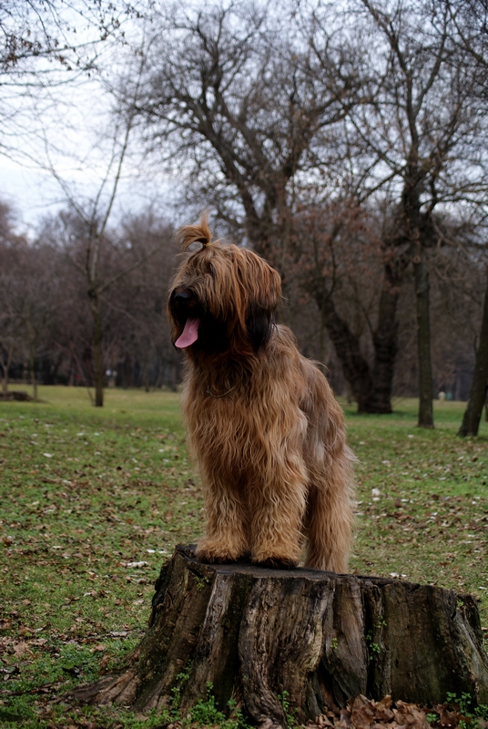2011.01.16.Seta_Divine-012.jpg