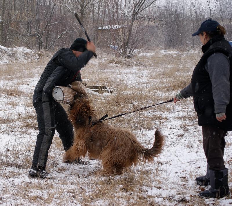 2011.01.26._divine_suli_811.JPG