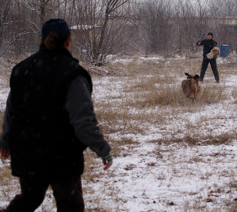 2011.01.26._divine_suli_813.JPG