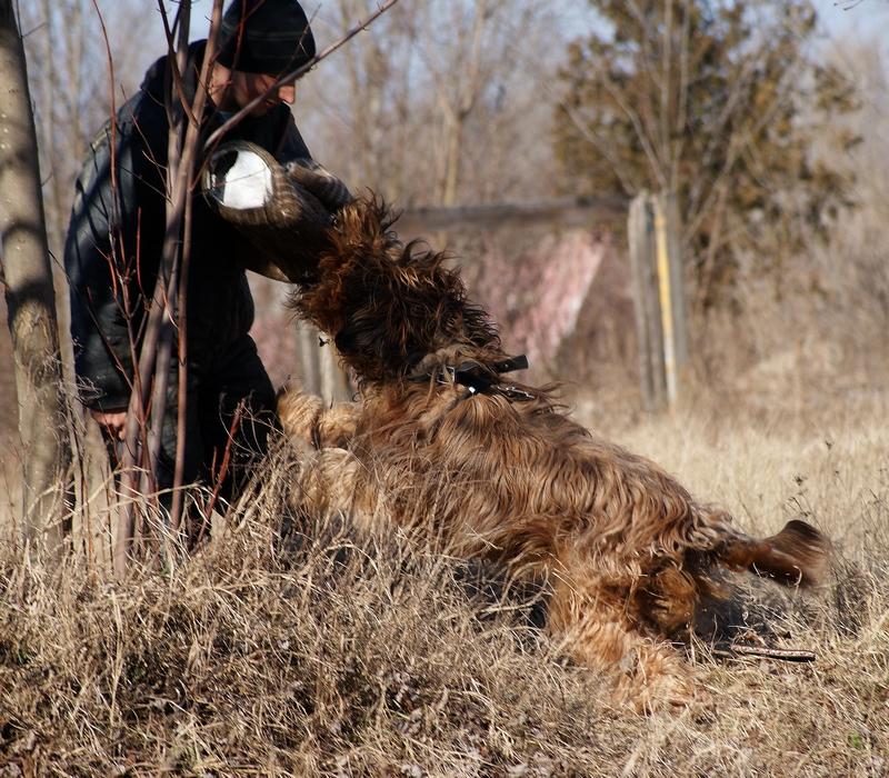 2011.02.09._divine_suli_584.JPG