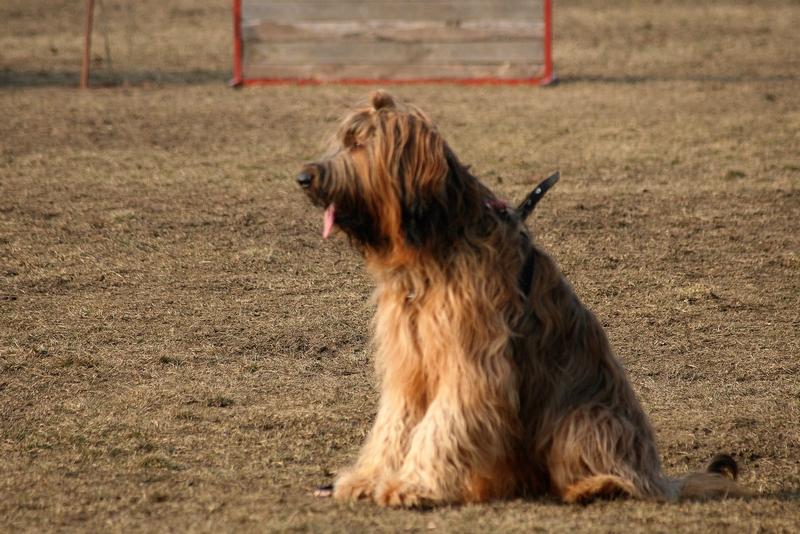 2011.02.23.Divine_suli-11.JPG