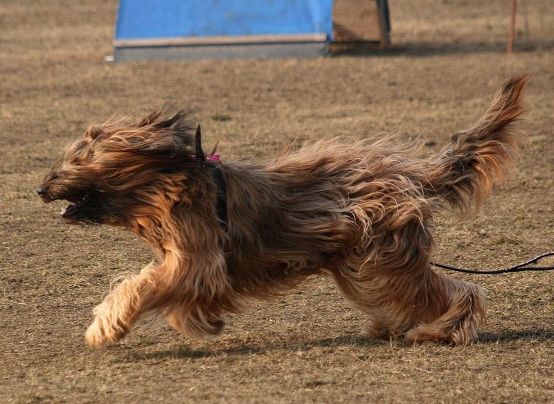 2011.02.23.Divine_suli-12.JPG