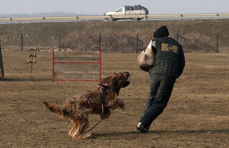 2011.02.23.Divine_suli-17.JPG