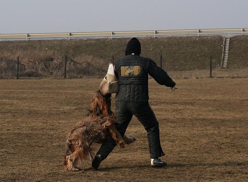 2011.02.23.Divine_suli-18.JPG