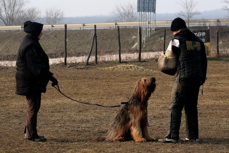 2011.02.23.Divine_suli-35.JPG