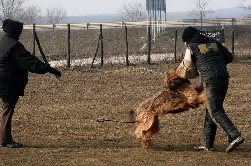 2011.02.23.Divine_suli-36.JPG
