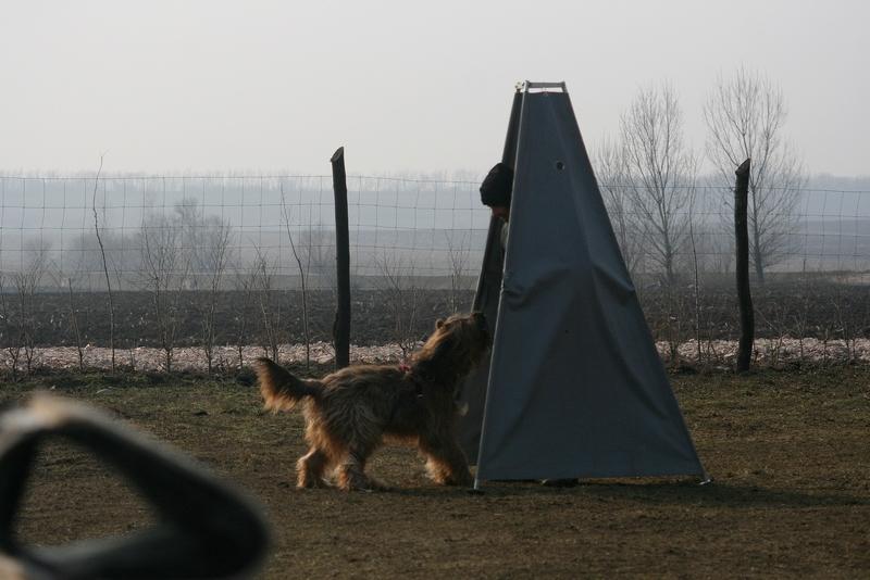 2011.02.23.Divine_suli-4.JPG