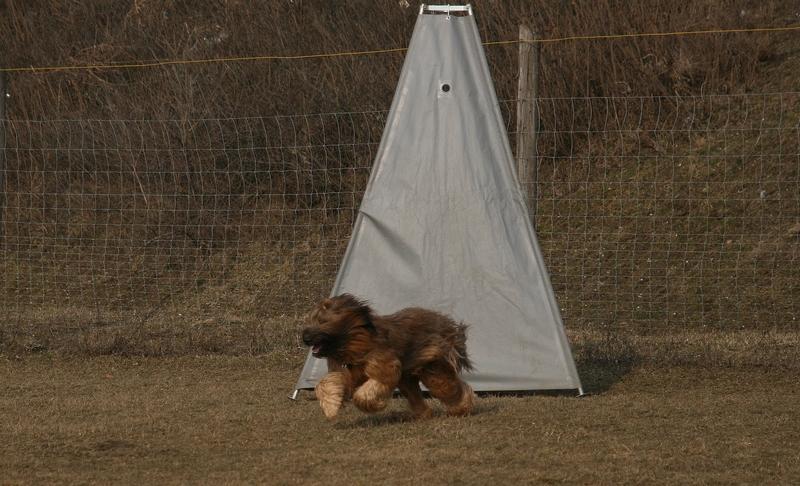 2011.02.23.Divine_suli-43.JPG