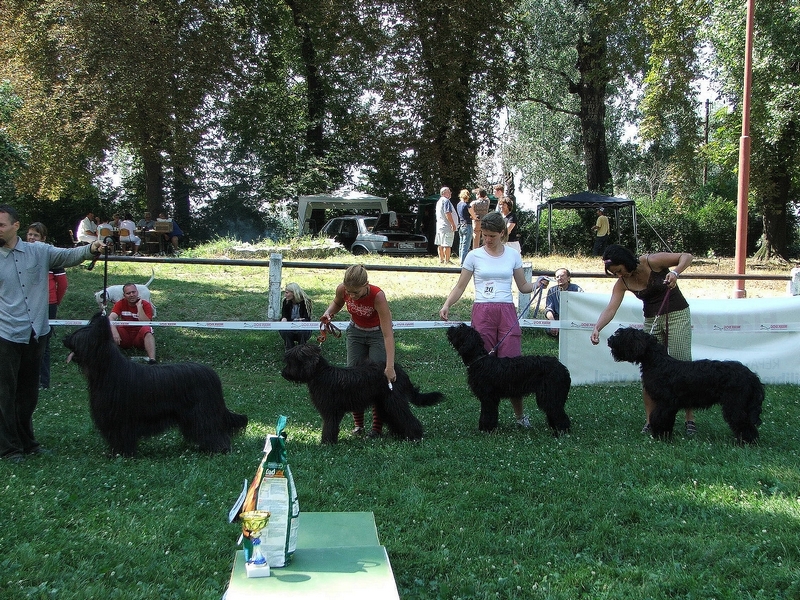 frpk_show_2005_alfio_es_kolykei_a.jpg